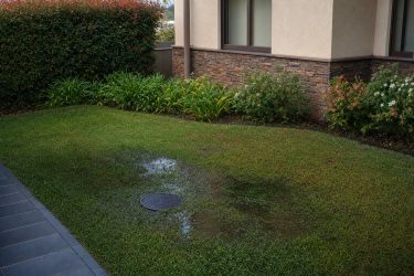 Cómo saber si tu fosa séptica está fallando: señales y qué hacer antes de que afecte al jardín